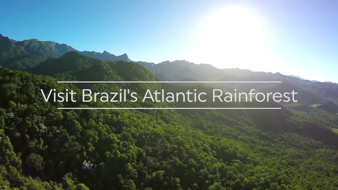 REGUA Travel Video