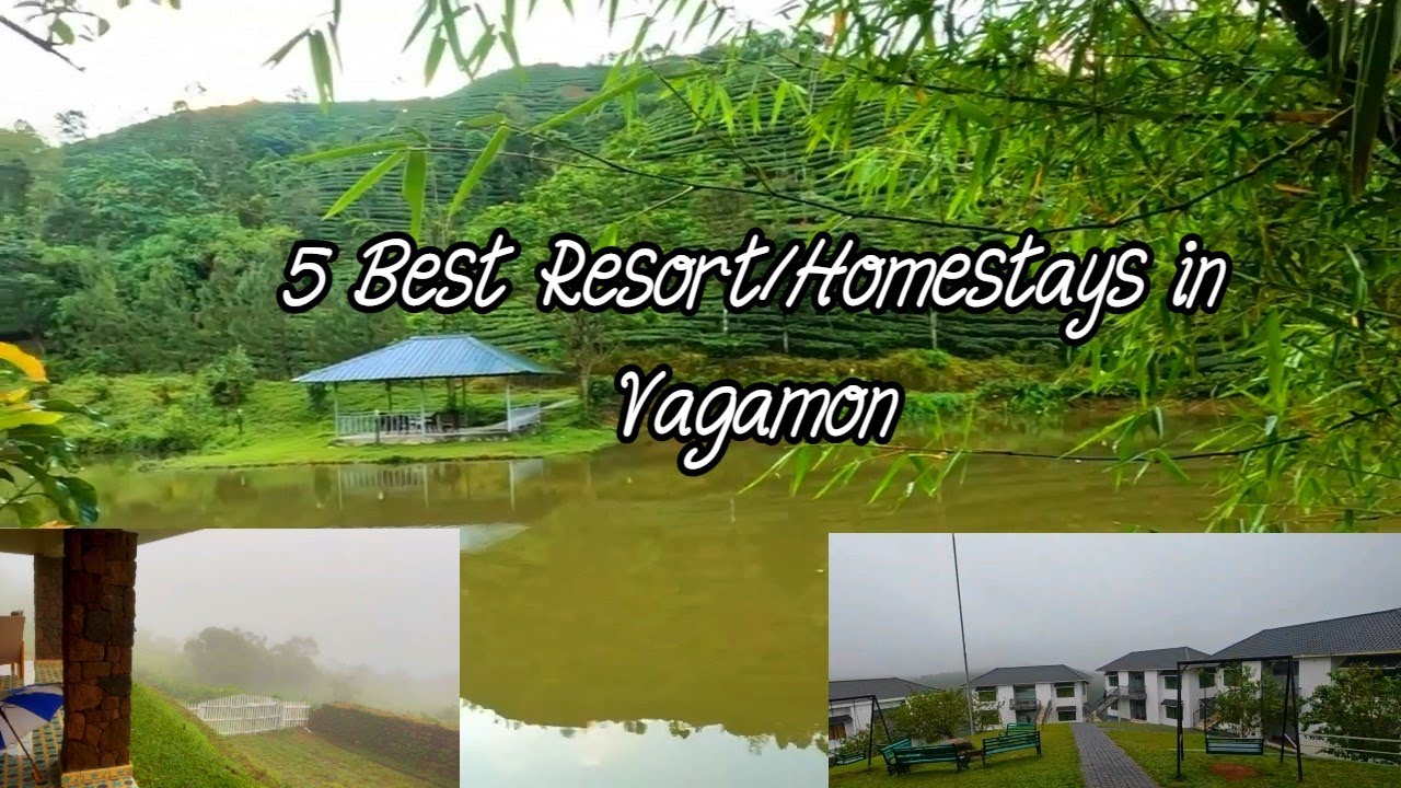 5 Best resorts in Vagamon | Best Homestays in Vagamon
