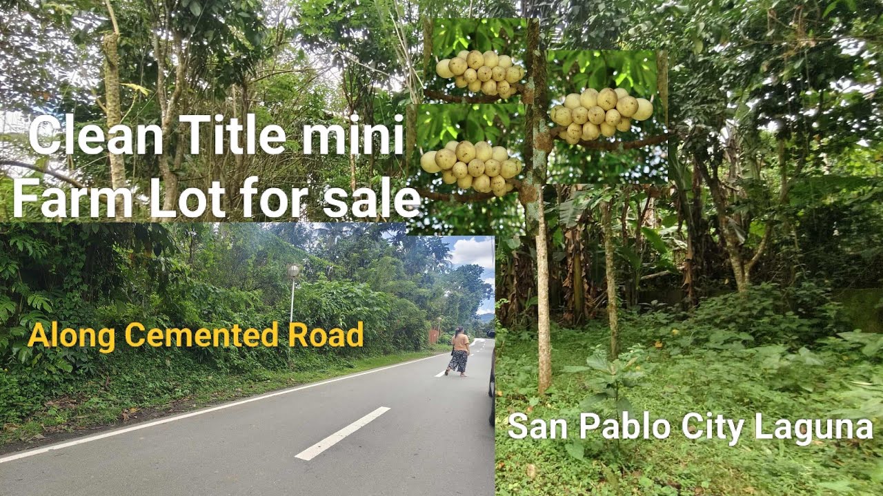 #Vlog382 Clean Title mini Farm Lot for sale in San Pablo City Laguna | Along Cemented Road