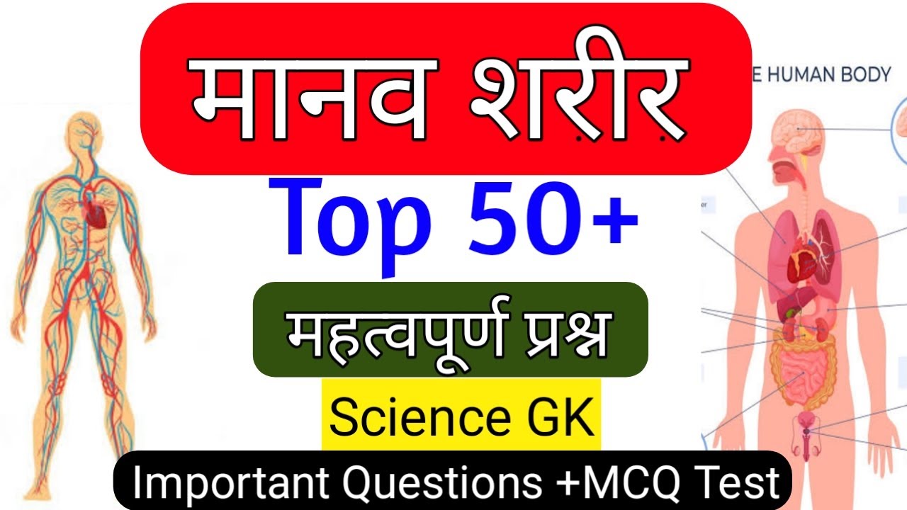 मानव शरीर Gk |Manav Sharir GK| Human Body Important Questions |Science Gk in hindi | MCQ Test