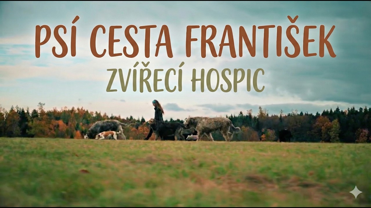 Psí cesta František