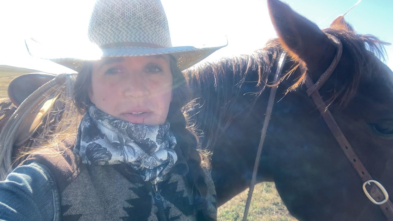 Life at Pine Ranch Season 1 Review