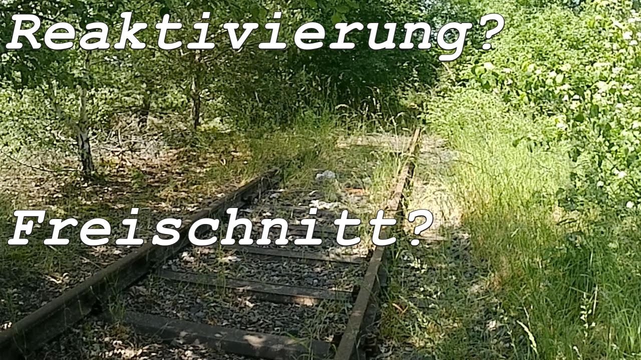 Eifelquerbahn | Bahnhof Ulmen Rundgang | Kanal Update!