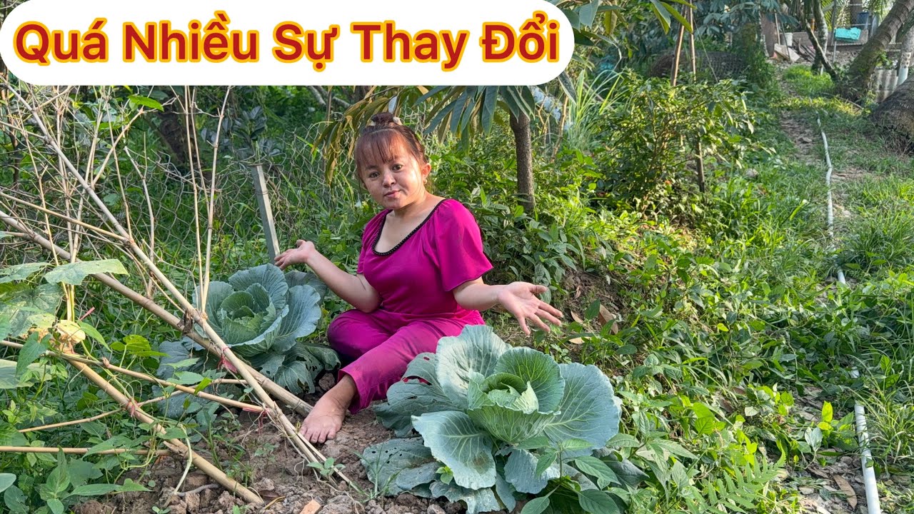 Thăm Lại Khu Vườn Mini và Nhà Sàn Sau Bao Nhiêu Ngày Út và A Mập Đi Làm Việc Ở Sài Gòn