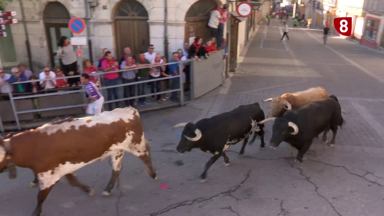 Encierro miércoles 28 de agosto, Fiestas de Cuéllar