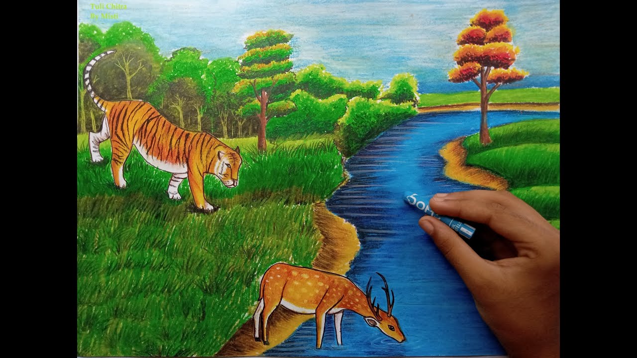 Sunderban Forest | Forest Eco system | Tiger & Deer in forest | Forest Environment | Forest Drawing