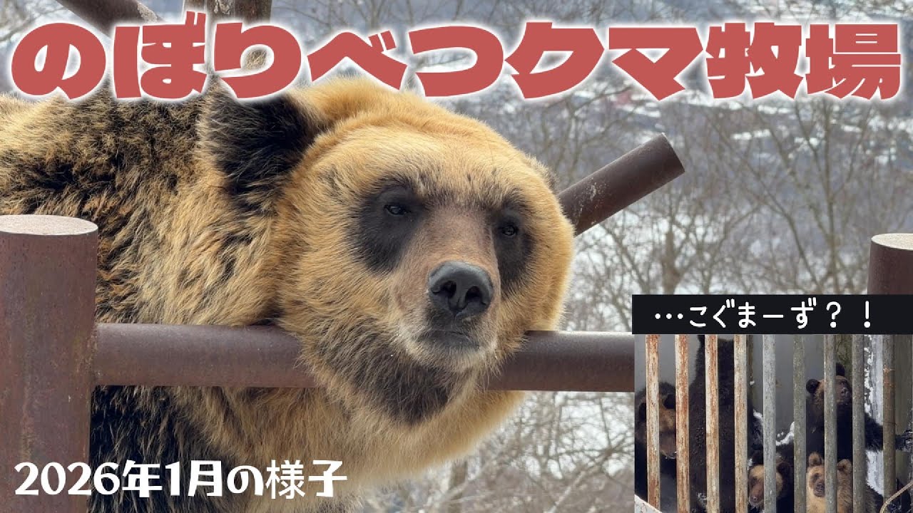 【2026/01②】2026年1月の様子