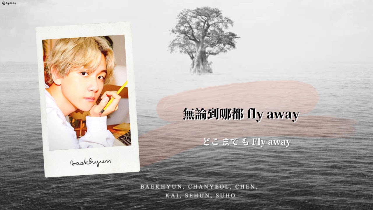 【認聲日/中字】 EXO – Bird