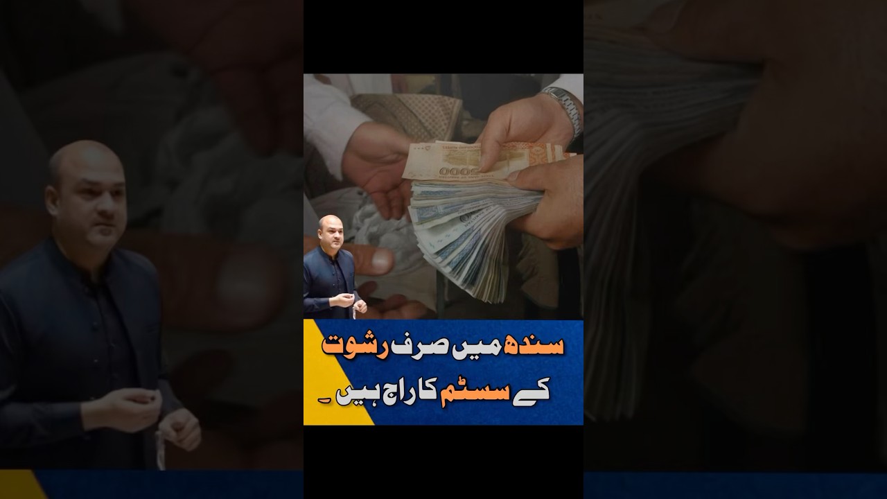 Ali Khurshidi | Corrupt Sindh System | Sindh Assembly