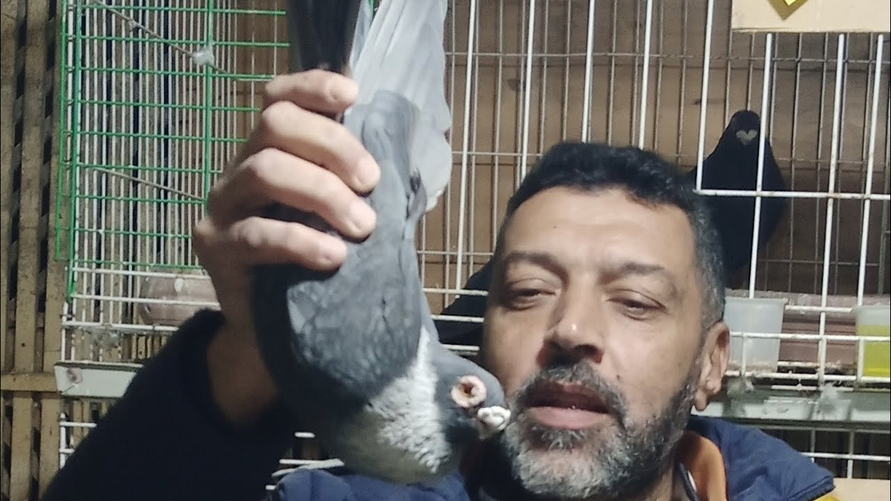 بدأت قناة 