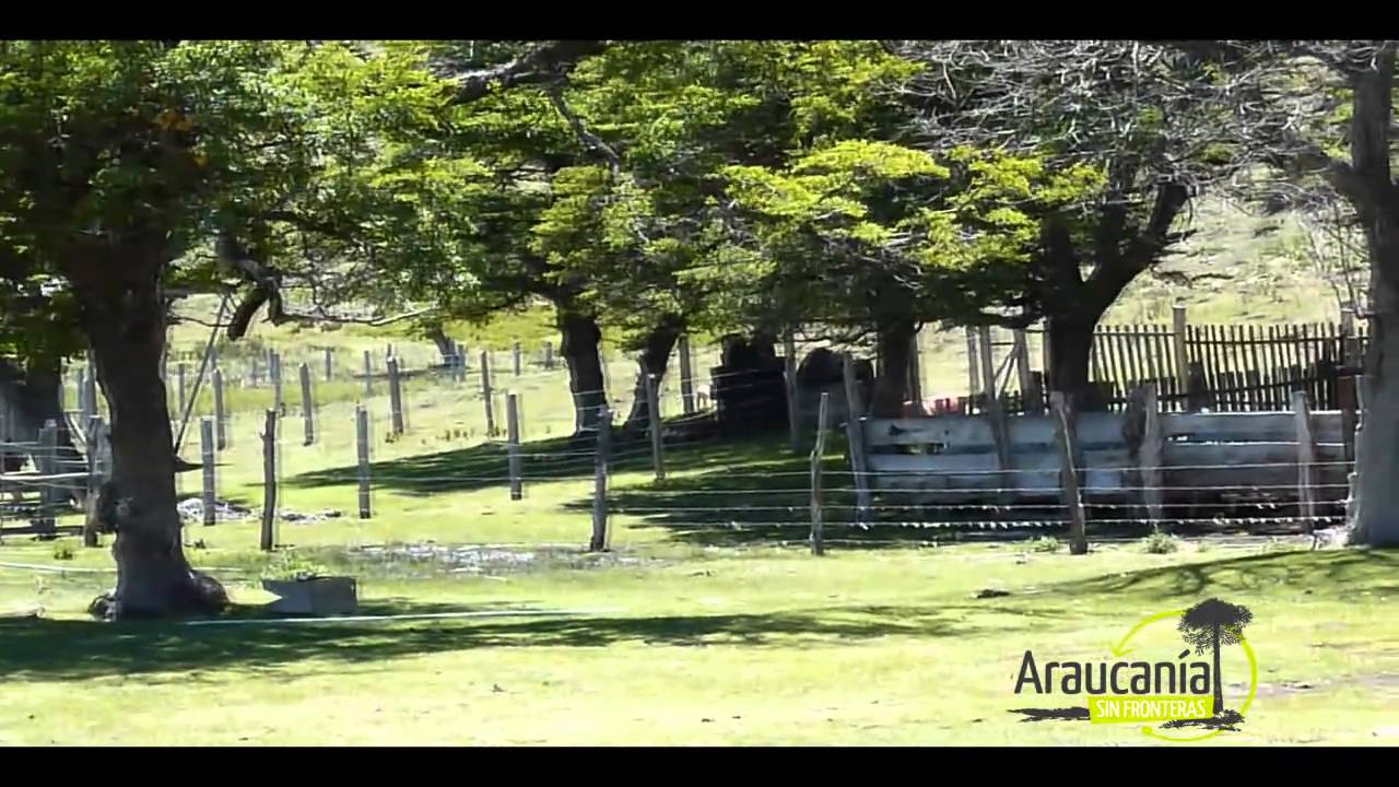Etnoturismo Ecologico Nahuel - Lonquimay