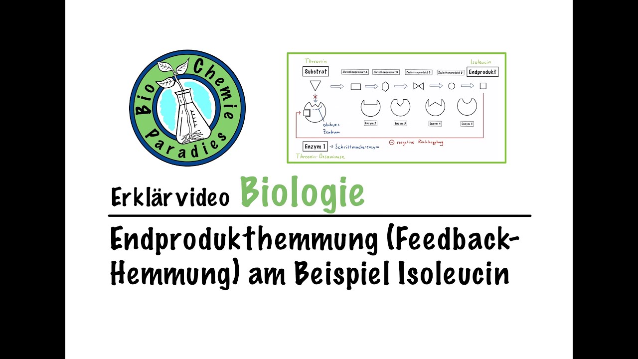 Erklärvideo Biologie – Endprodukthemmung (Feedback-Hemmung) am Beispiel Isoleucin