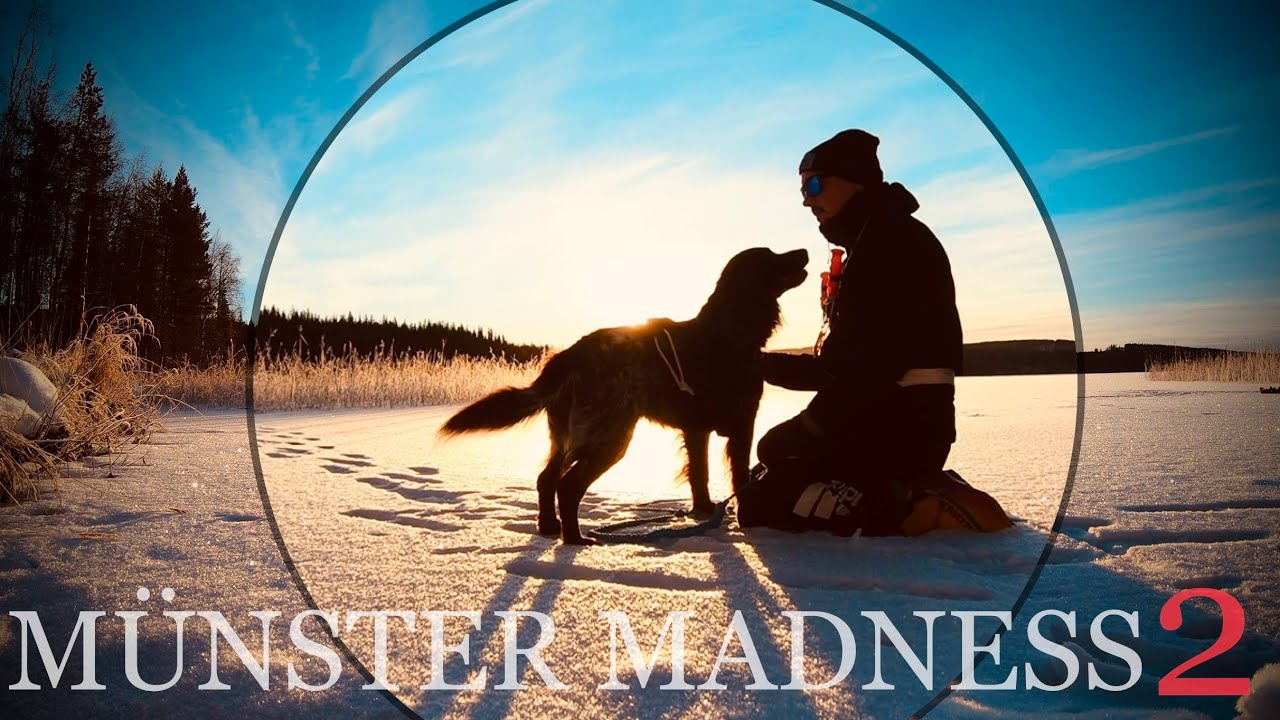 M&uuml;nster Madness 2 - kleiner m&uuml;nsterl&auml;nder