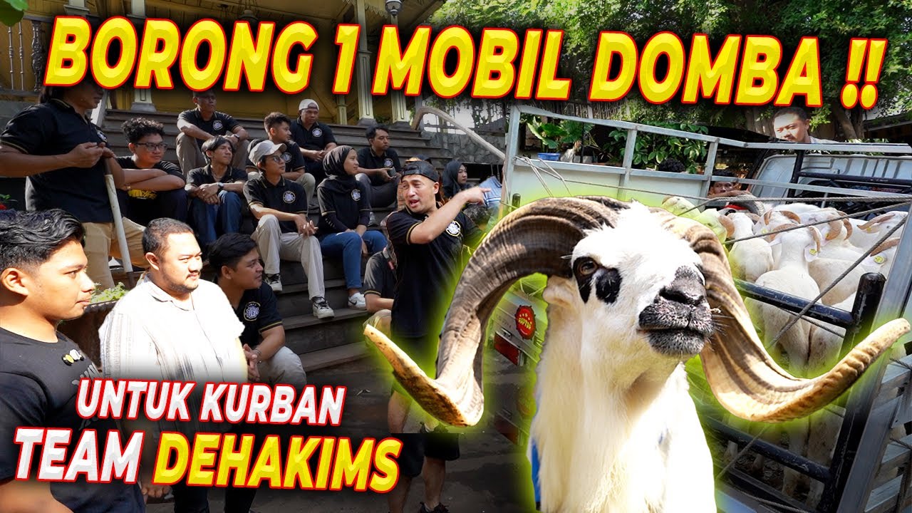 ABIS SAPI JUMBO LANJUT BORONG DOMBA UNTUK KURBAN !!