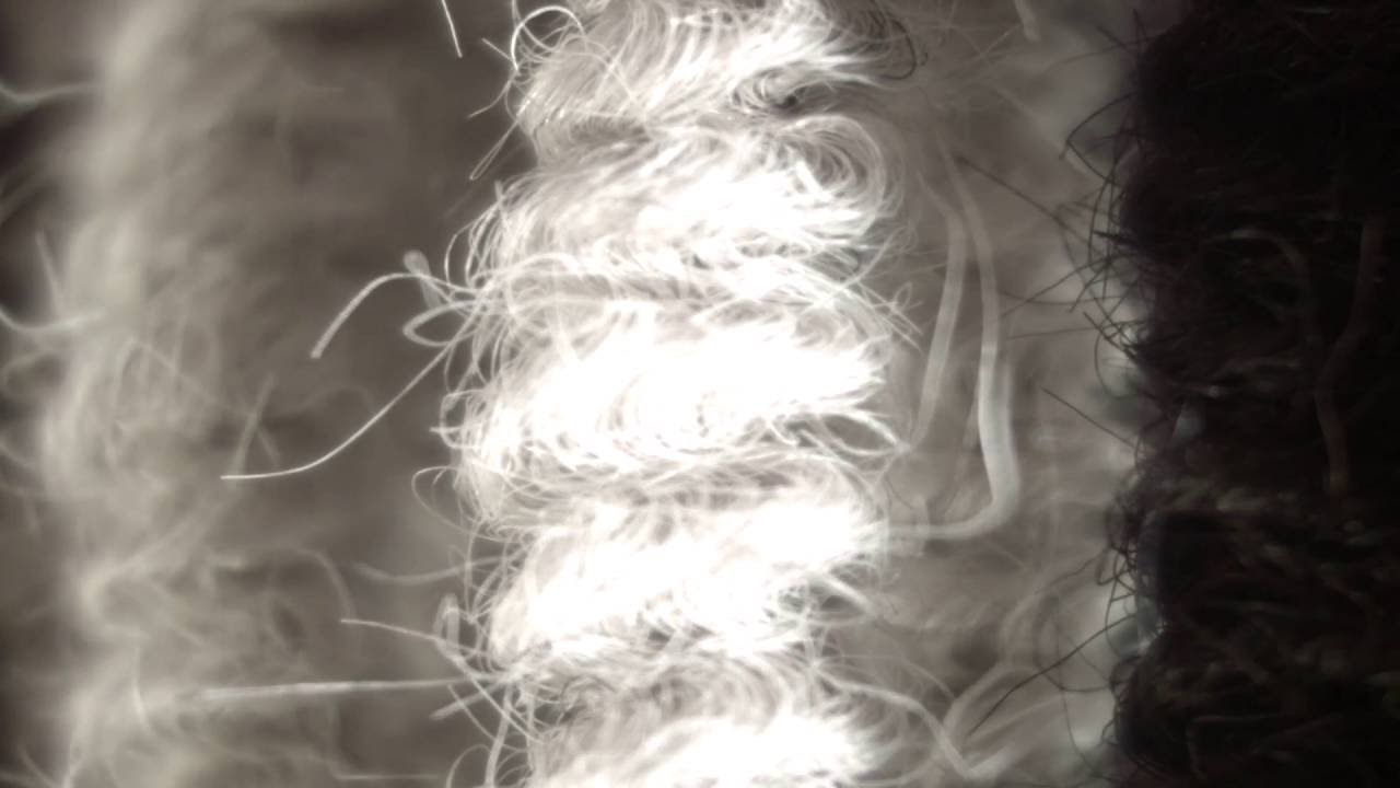 The Making Of Horsehair Mattress SEN