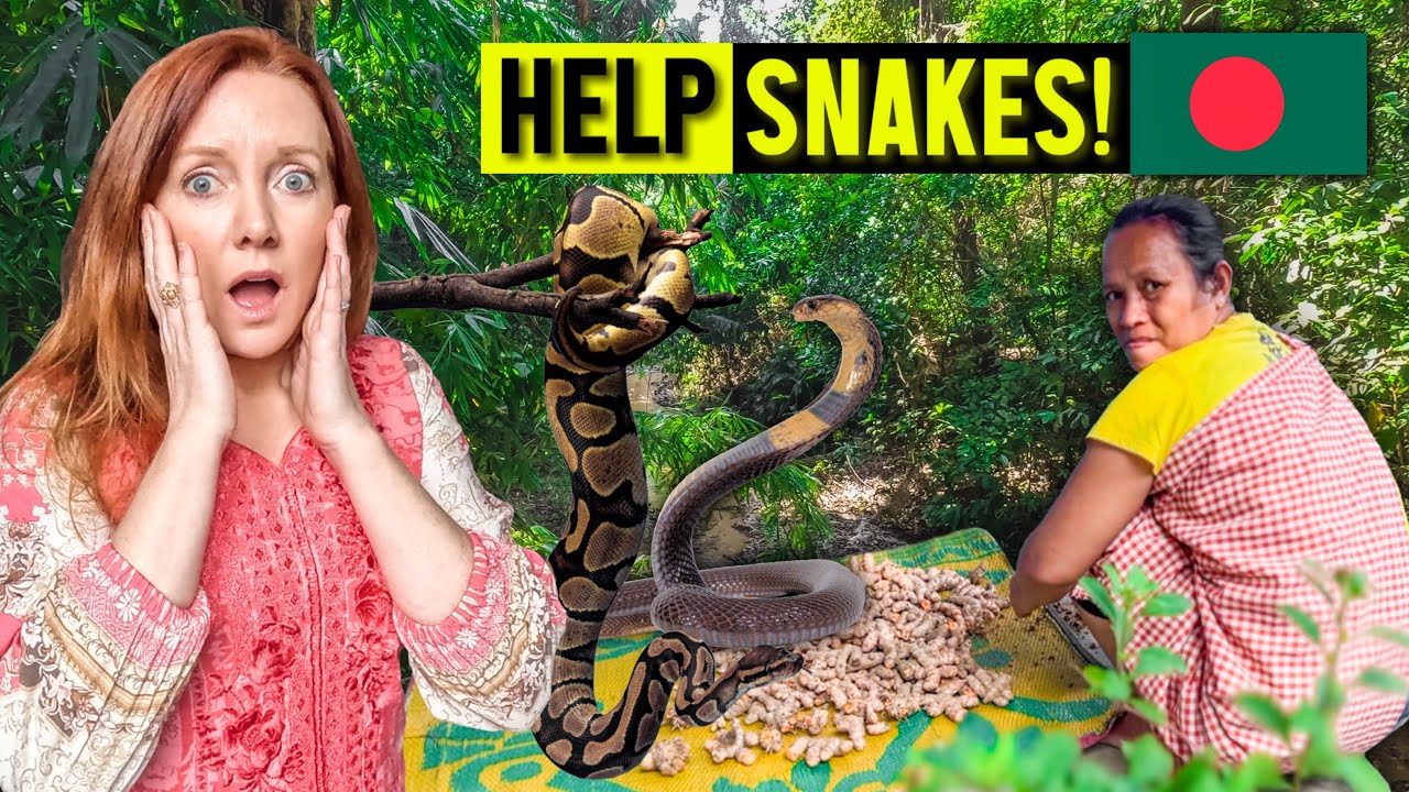 🇧🇩Dodging Snakes And Meeting Indigenous people in the Lawarchara National Park, Bangladesh