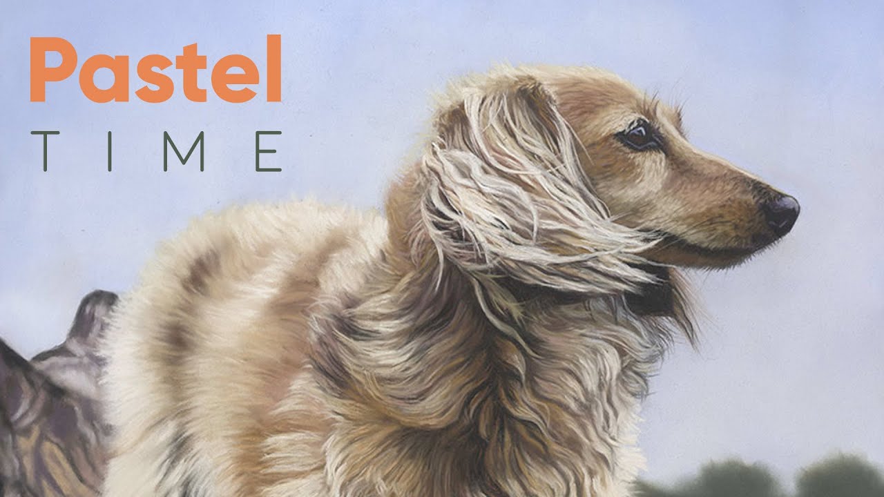 Blonde Dachshund in Soft Pastel - Timelapse