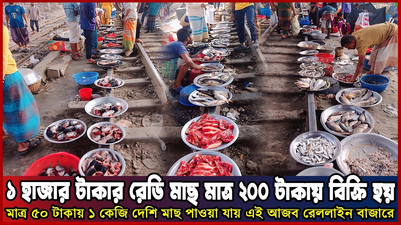 ১০০০ টাকার মাছ মাত্র ২০০ টাকায় বিক্রি হয় আজব এই রেললাইন বাজারে। ||Fish Market vlog||