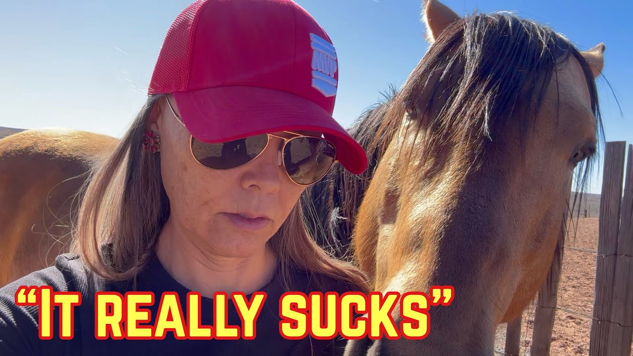 Pony Express | What happened to BULL?? | Riding Colts