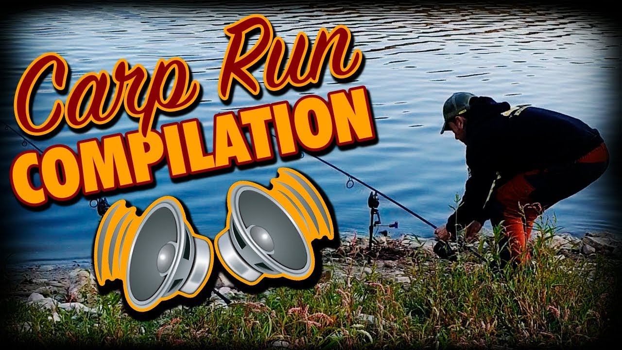 CARP RUN COMPILATION - Best of 2019