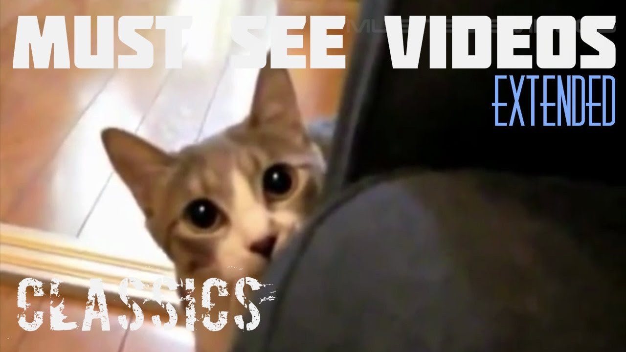 Timeless Funny Classics Must See Videos