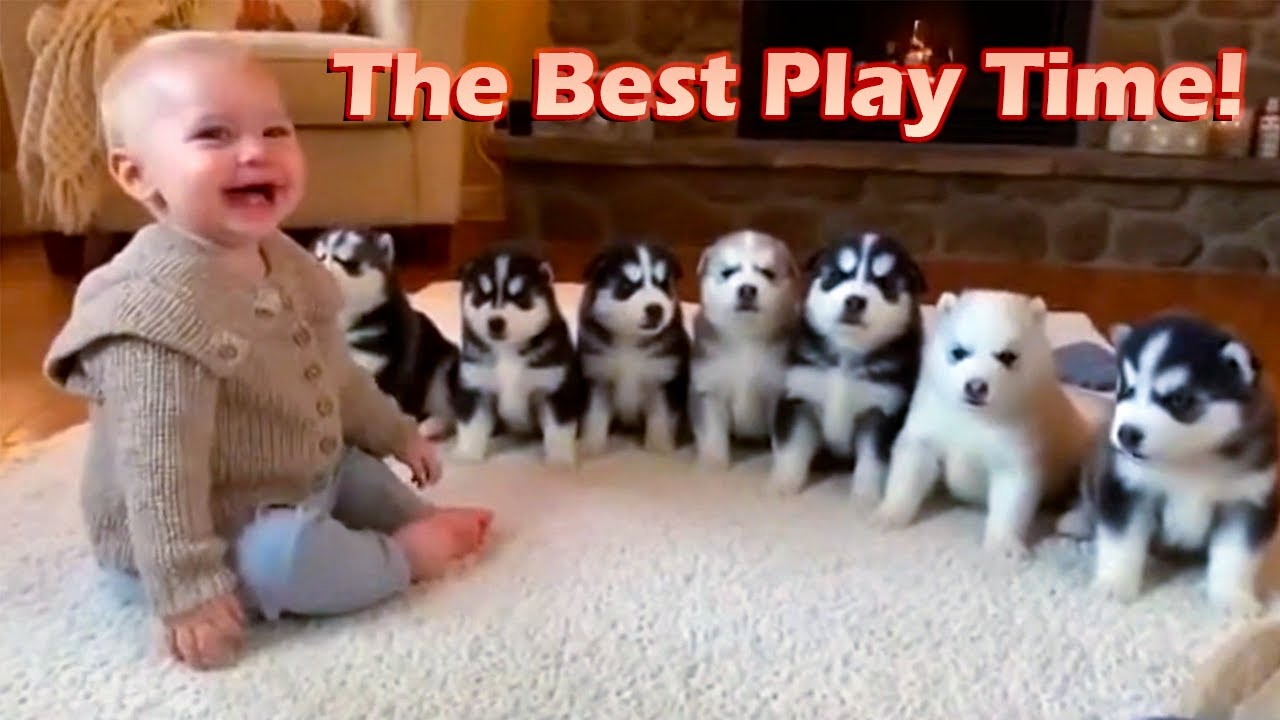 The Best Play Time! Cute Babies vs Dogs Moments👶🐶