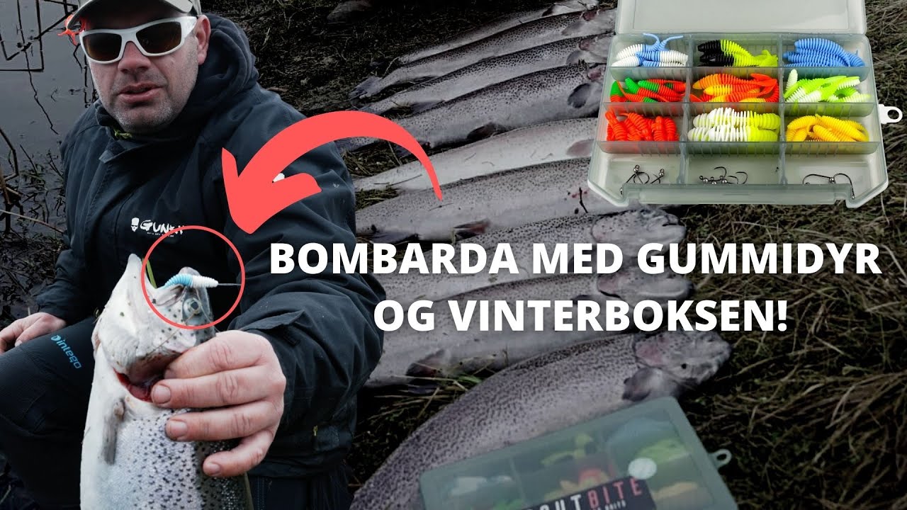 Bombarda og gummidyr til Put & Take fiskeri - Tips og tricks til gummifiskeri
