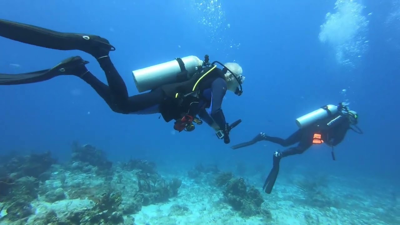 Lets look at trim, buoyancy and finning techniques  Part 1