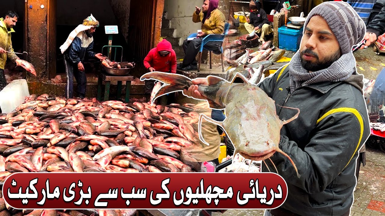 Darya Machli Market Ki Sub Sey Bari Market | Pakistan Biggest River Fish Market | Pakistan Kay Sath