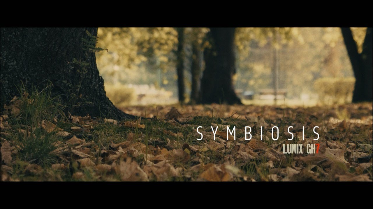 LUMIX GH7 Cinematic Short Film SYMBIOSIS #lumixgh7 #gh7 #cinematic #wildlife  #relaxing # #calm