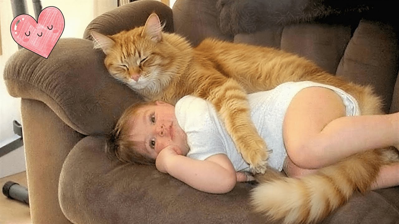 When Your Cat Is The Best Babysitter | Cutest Baby Reaction Ever!!!