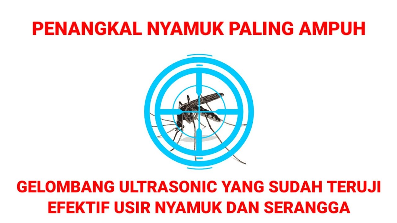 AMPUH USIR NYAMUK setiap hari setiap saat NONSTOP 8 JAM