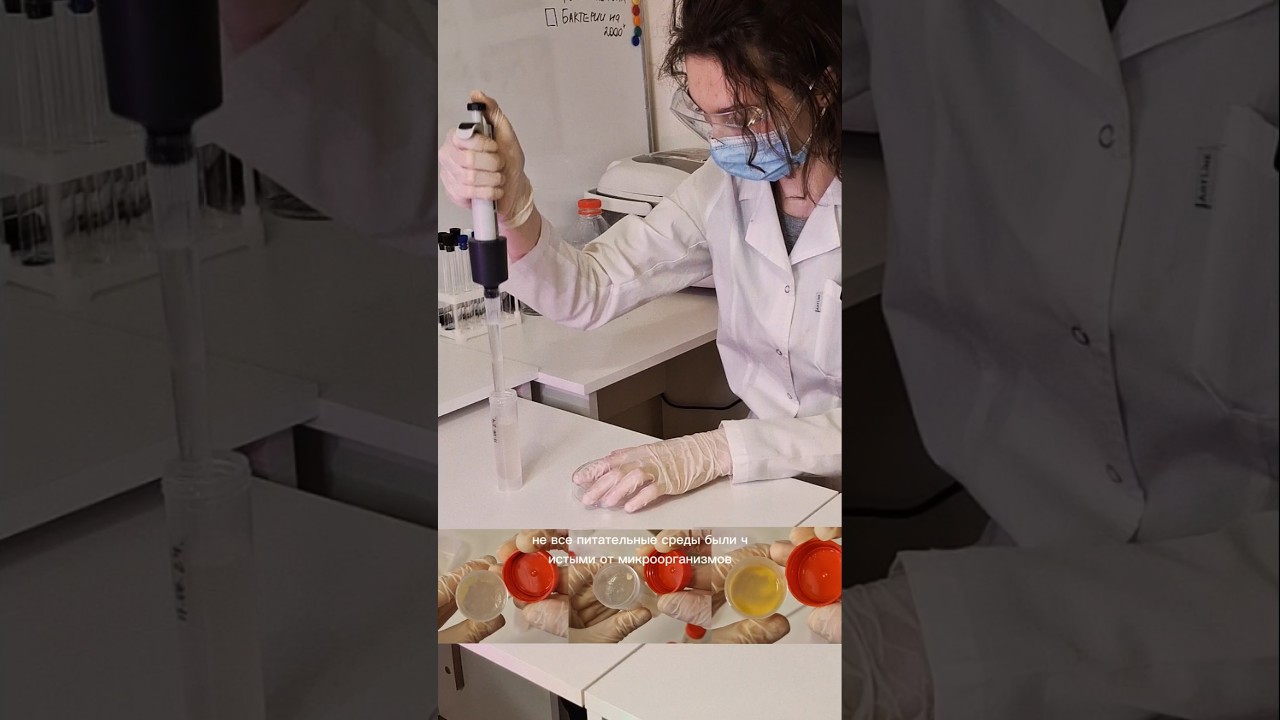 Проверка жизнеспособности питательной среды🧫🧪 #биология #лаборатория #наука #диджус