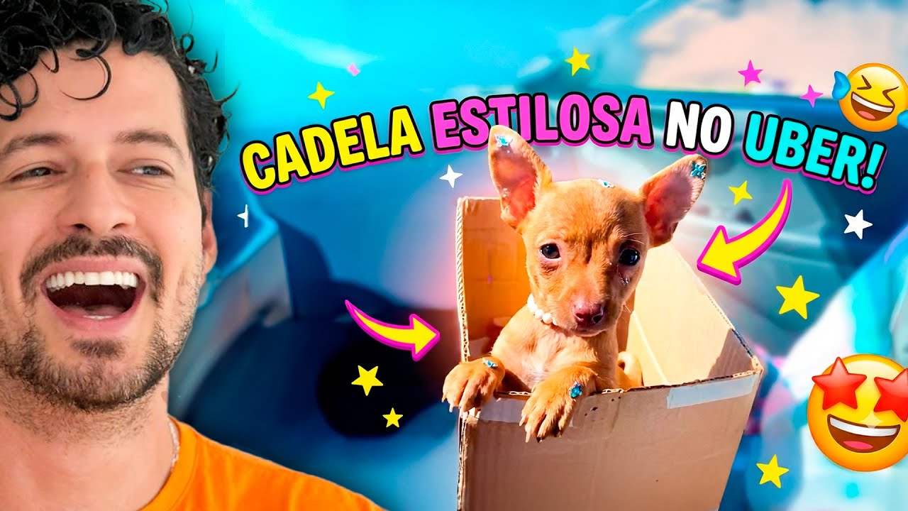 Só acreditei porque foi filmado!
