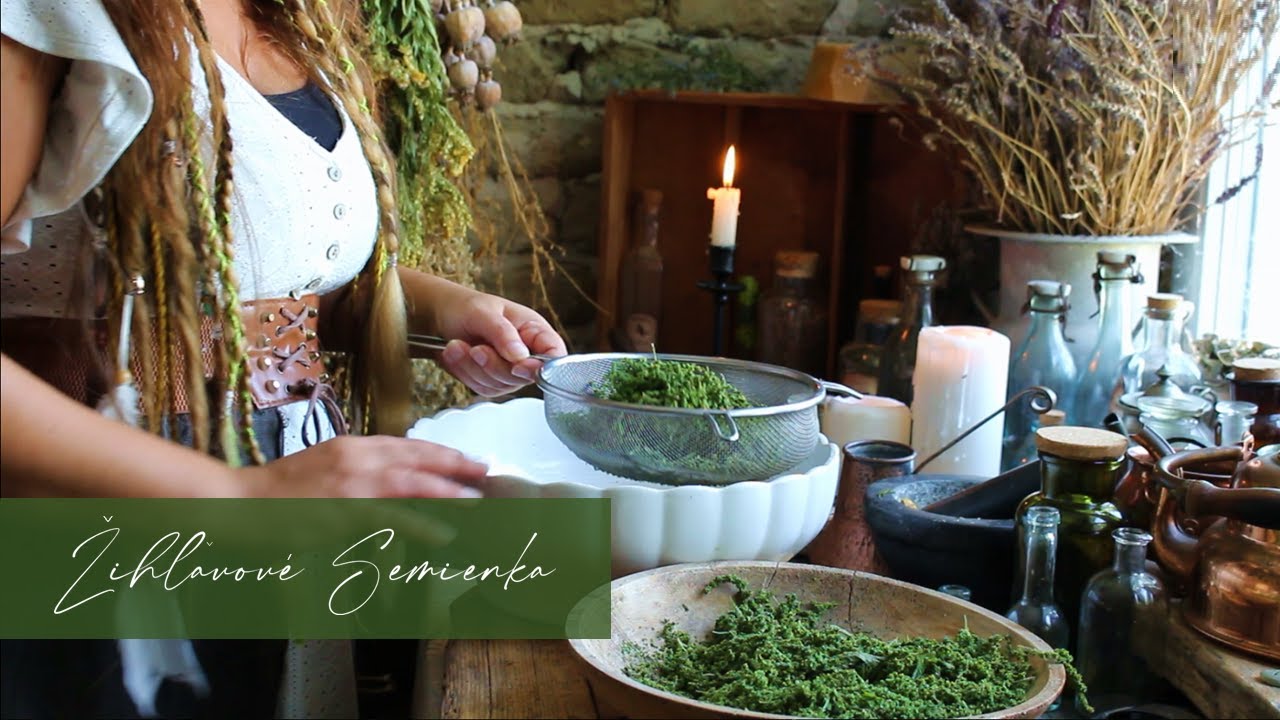 ŽIHĽAVOVÉ SEMIENKA- Sušenie, Užívanie, Skladovanie