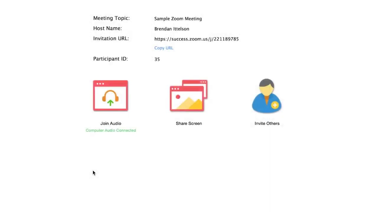 03 Zoom Meeting Controls
