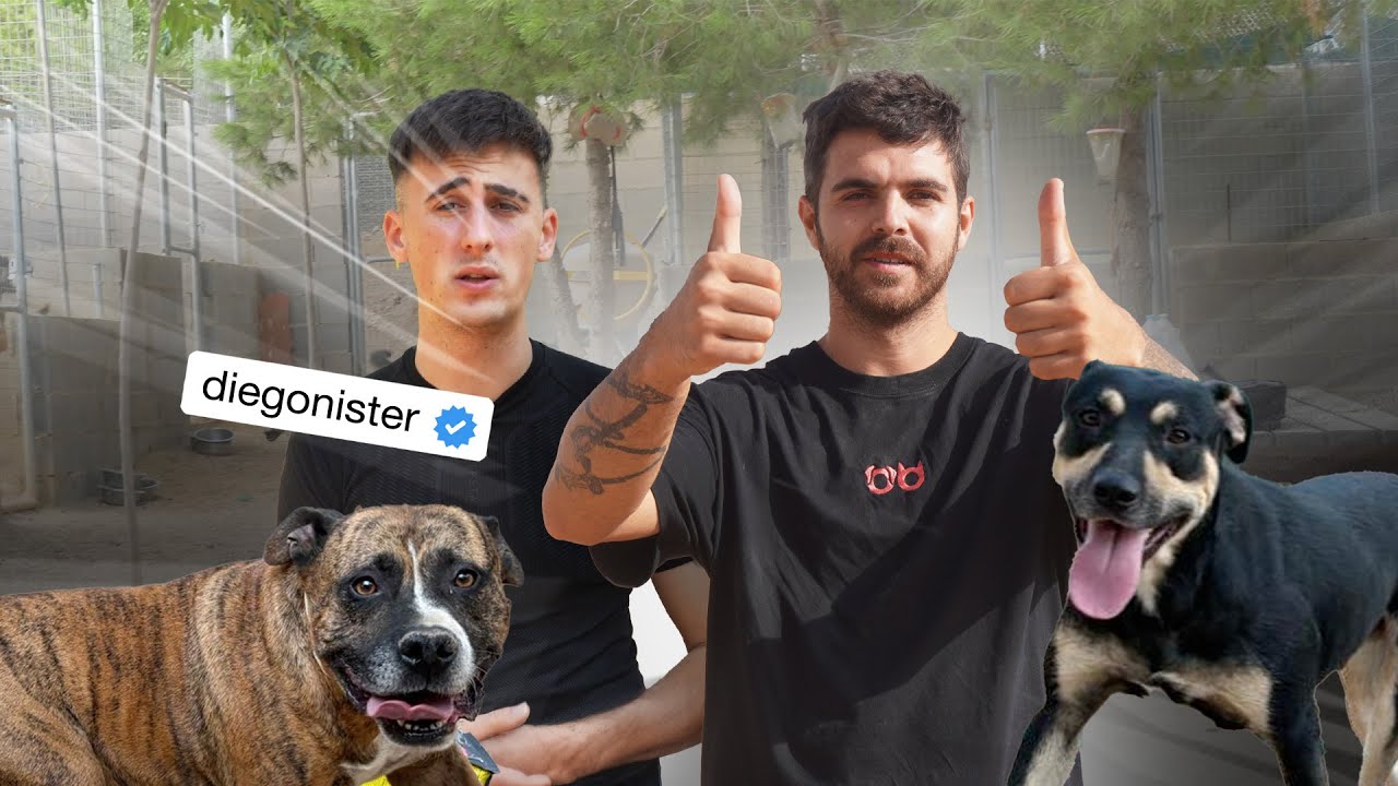 NISTER conoce a LOS PANAS y no quiere irse ❤️🐶