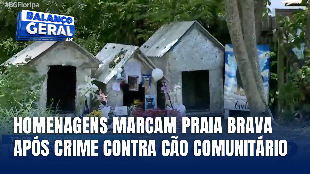 Moradores prestam homenagens a Orelha em casinhas de cães na praia