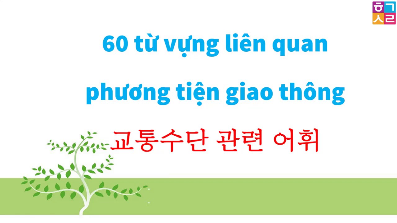 60 từ vựng liên quan Phương Tiện Giao Thông | 미용실에서 자주 쓴 한국어 표현