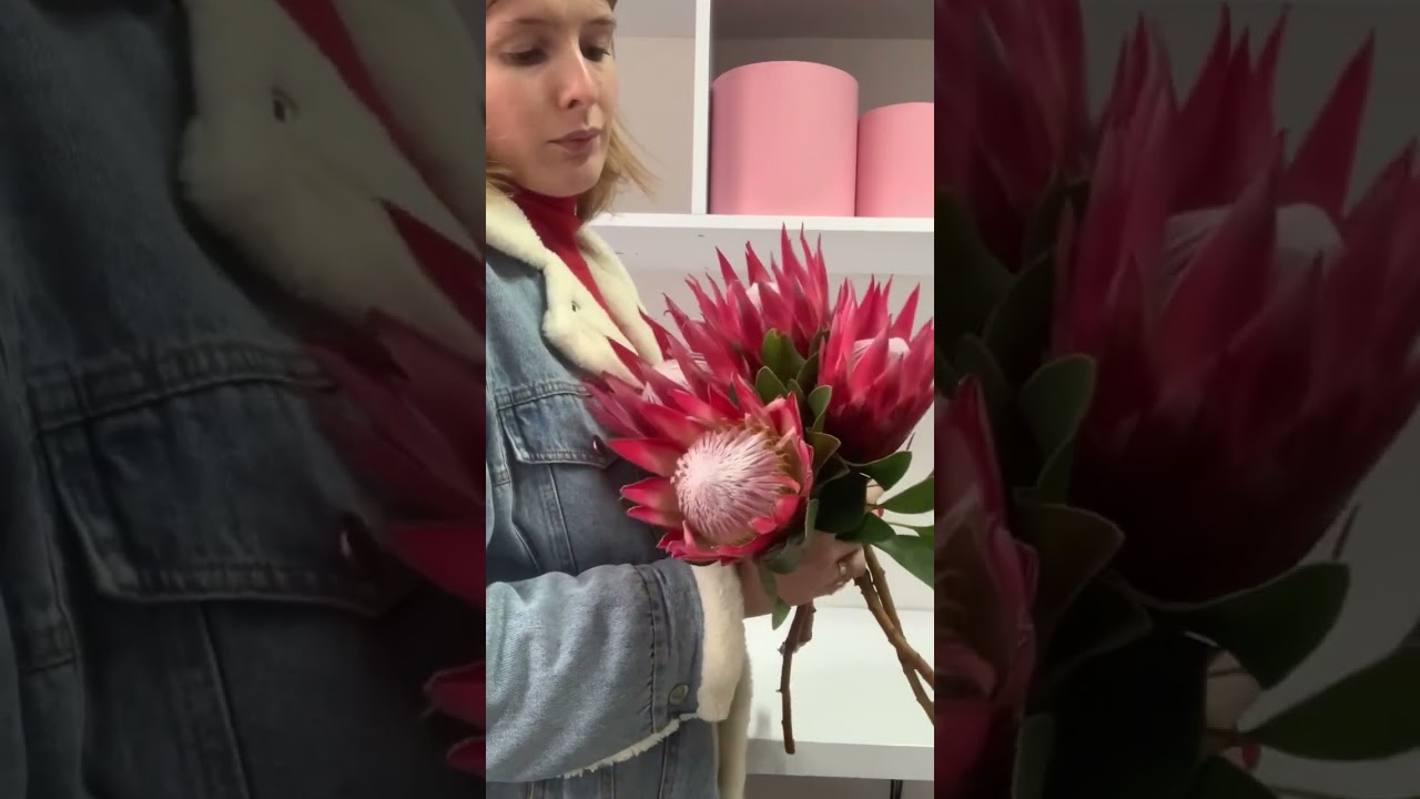Protea #pinkprotea #bigprotea #exotic #exoticflower #protea