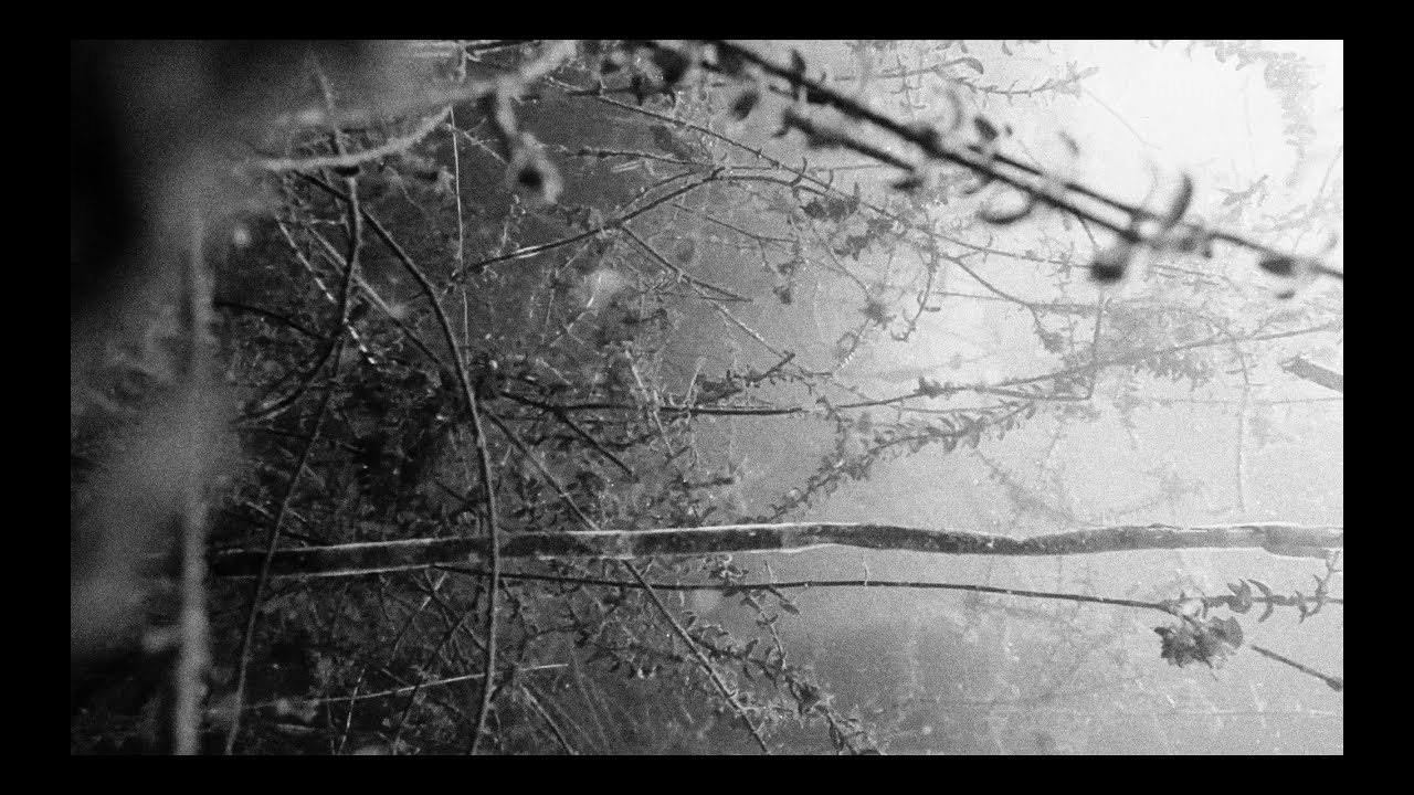 Jacob David - Andachten