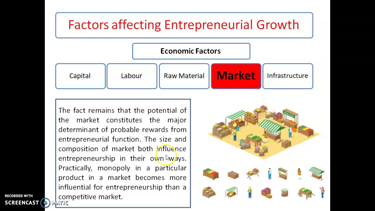 Factors affecting Entrepreneurial Growth