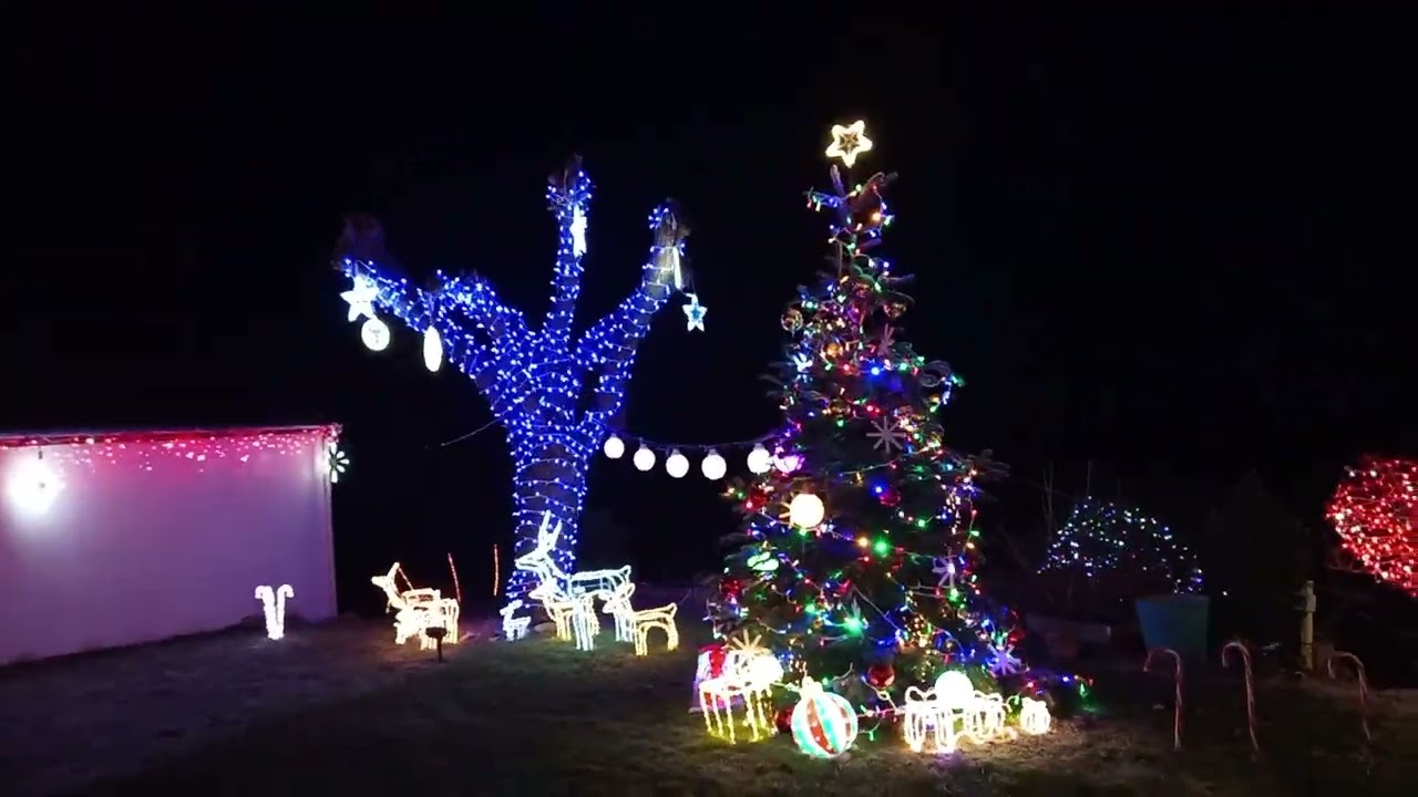 Le jardin de nuit 2025-2026