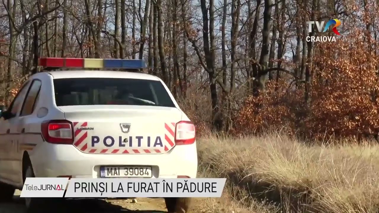 PRINȘI LA FURAT ÎN PĂDURE