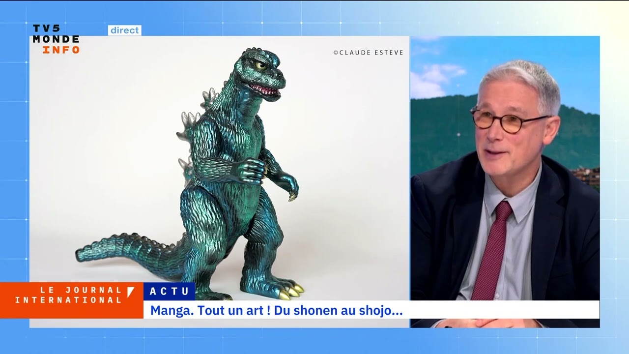 Manga. Tout un art ! Du shonen au shojo...