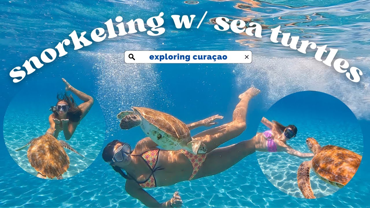 exploring with the sea turtles in curaçao (gone wrong) - kristine kugler