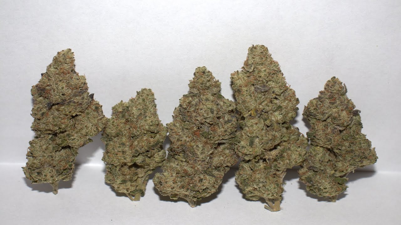 Strain Review - Ghost Mints by Seed Junky Genetics