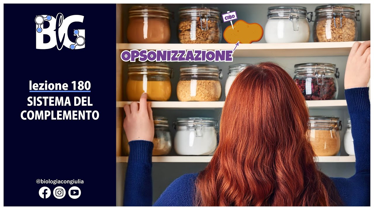 SISTEMA del COMPLEMENTO