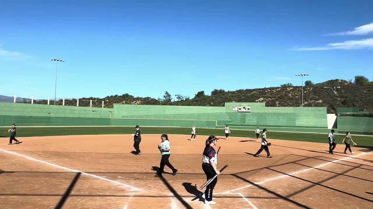 Diamond Dogs 🥎