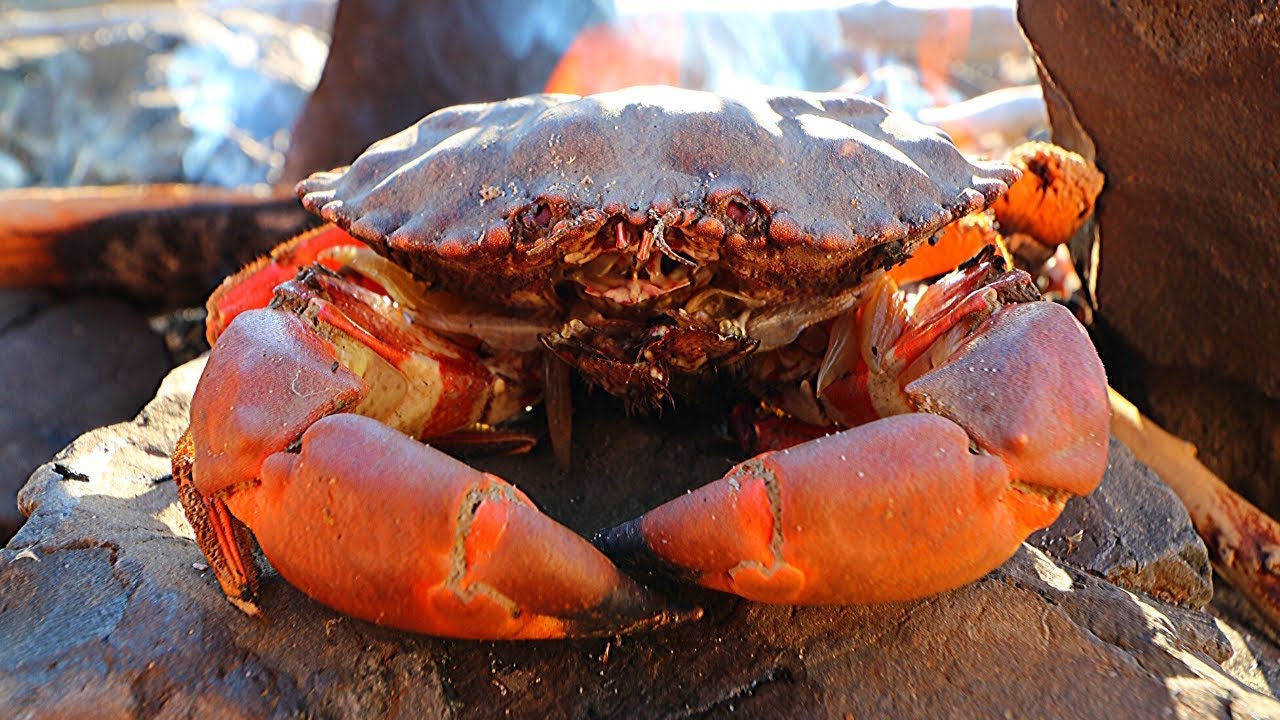 Catch n' Roast Crabs Over a Fire | Oregon Coast Adventures